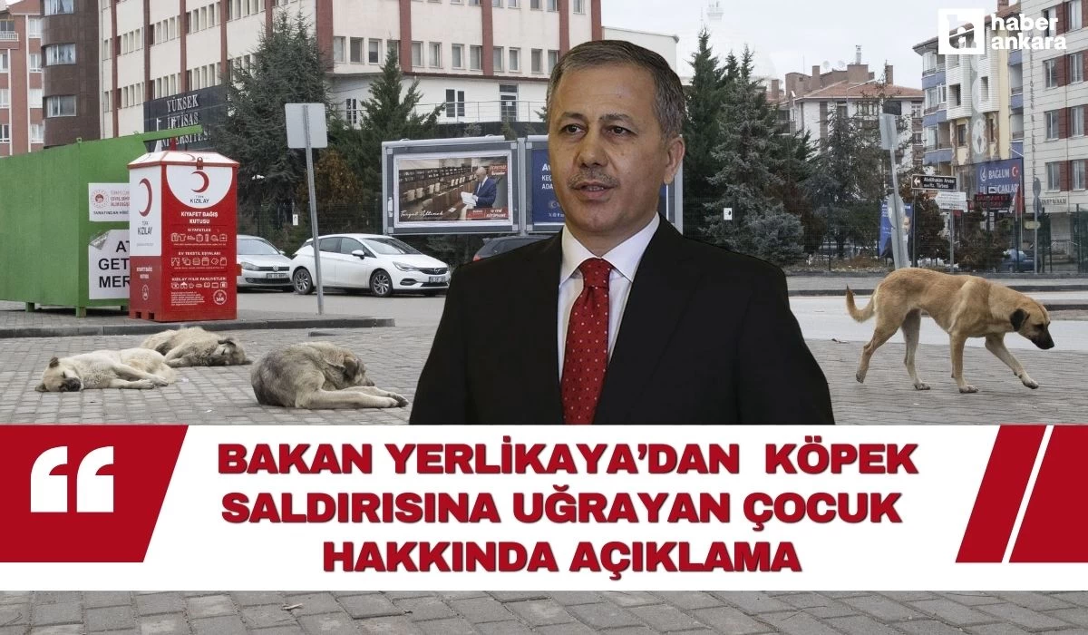 Ankara Keçiören'de sokak köpeklerinin saldırdığı çocuğun durumu ağır!