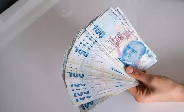 Bugünden itibaren gecikme faizi işleyecek milyonları ilgilendiriyor! E-Devlet ekranından kontrol edin