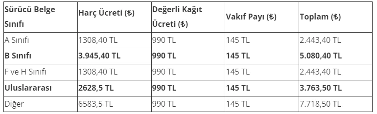 18 yaşını dolduran vatandaşların 5165 ödemesi çıktı! Başvuran herkesten o ücret alınıyor - Resim : 3