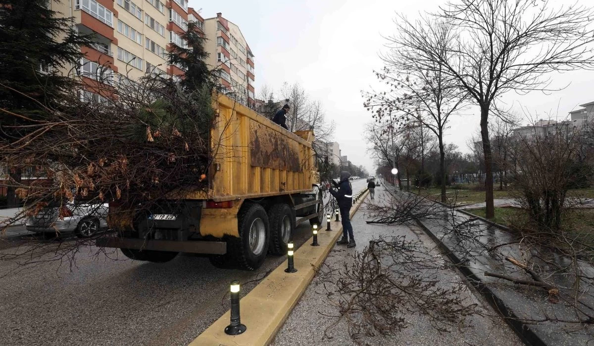 Yenimahalle Belediyesi'nden ilçede bahara hazırlık!