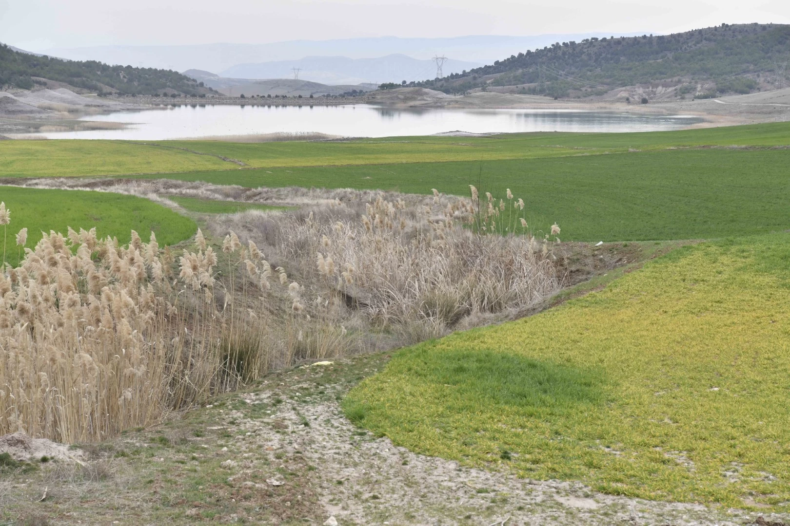 Ankaralı ipek böceği yetiştiricilerine yüzde yüz hibe ile sulama borusu desteği veriliyor! - Resim : 2