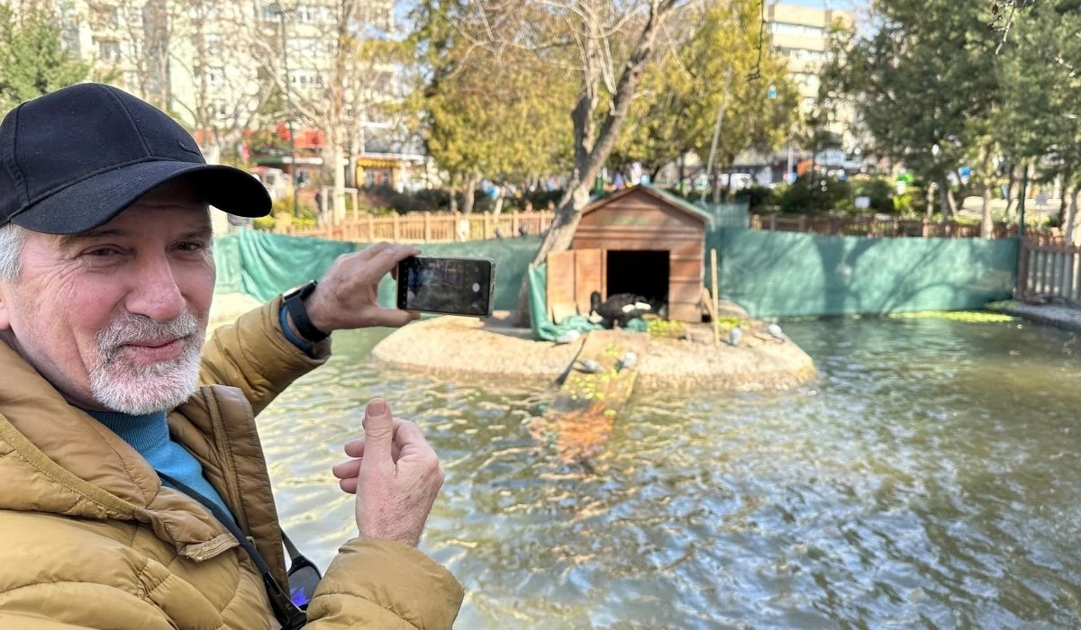 Kuğulu Park'ın yeni gözdesi siyah yavru kuğulara yoğun ilgi! - Resim : 2