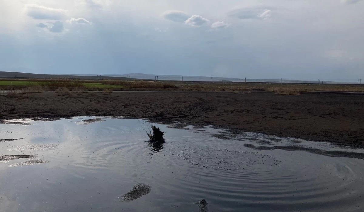 İddia! Polatlı'da biyogaz enerji üreten firmalar, atıklarını tarlaya döküyor