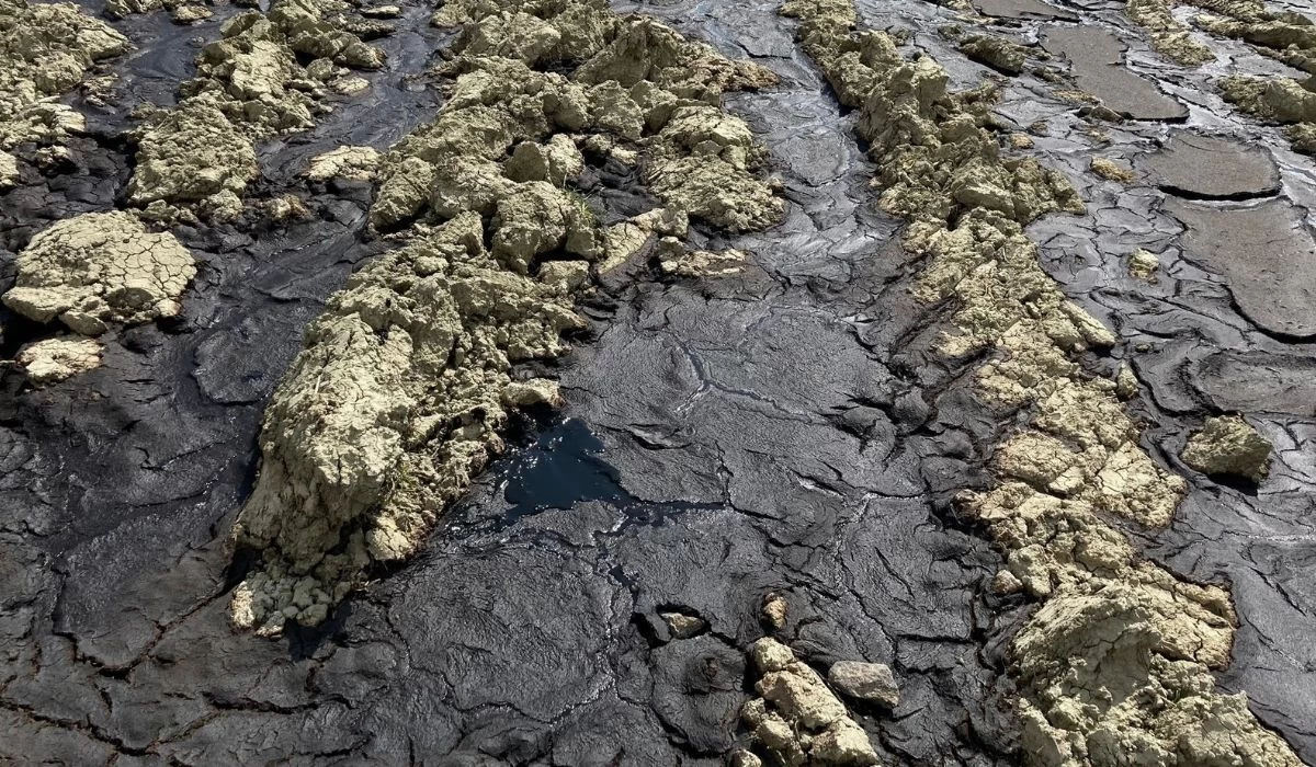 İddia! Polatlı'da biyogaz enerji üreten firmalar, atıklarını tarlaya döküyor - Resim : 3