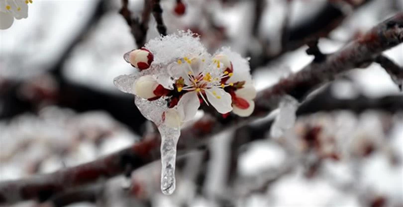 Meteoroloji İç ve Batı bölgeleri için uyarıyı yayımladı! Pazartesi gününe kadar devam edecek