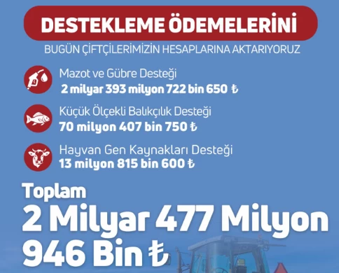 Bakanlık duyurdu! Destek ödemeleri bugün hesaplara yatırıldı