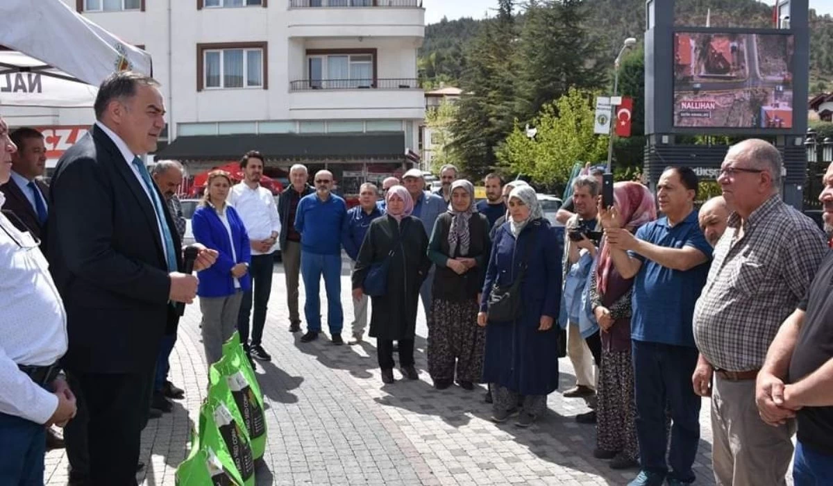 Nallıhan Belediyesi çiftçilere yüzde 75 hibe destekli silajlık mısır tohumu dağıttı!