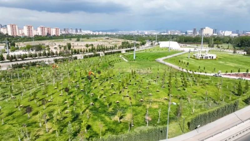 Atatürk Orman Çiftliği konser alanı nerede, toplu taşıma ile nasıl gidilir?