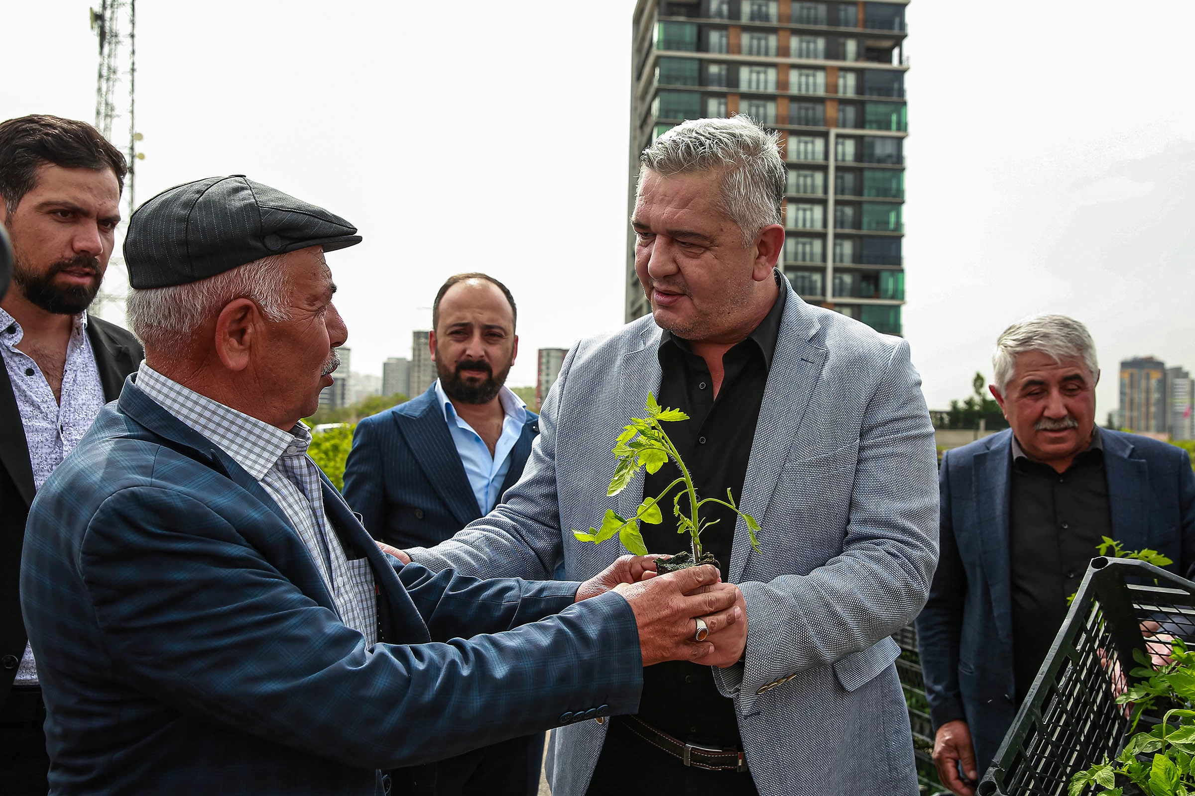 Keçiören Belediyesi çiftçilere ücretsiz fide desteği yaptı - Resim : 2