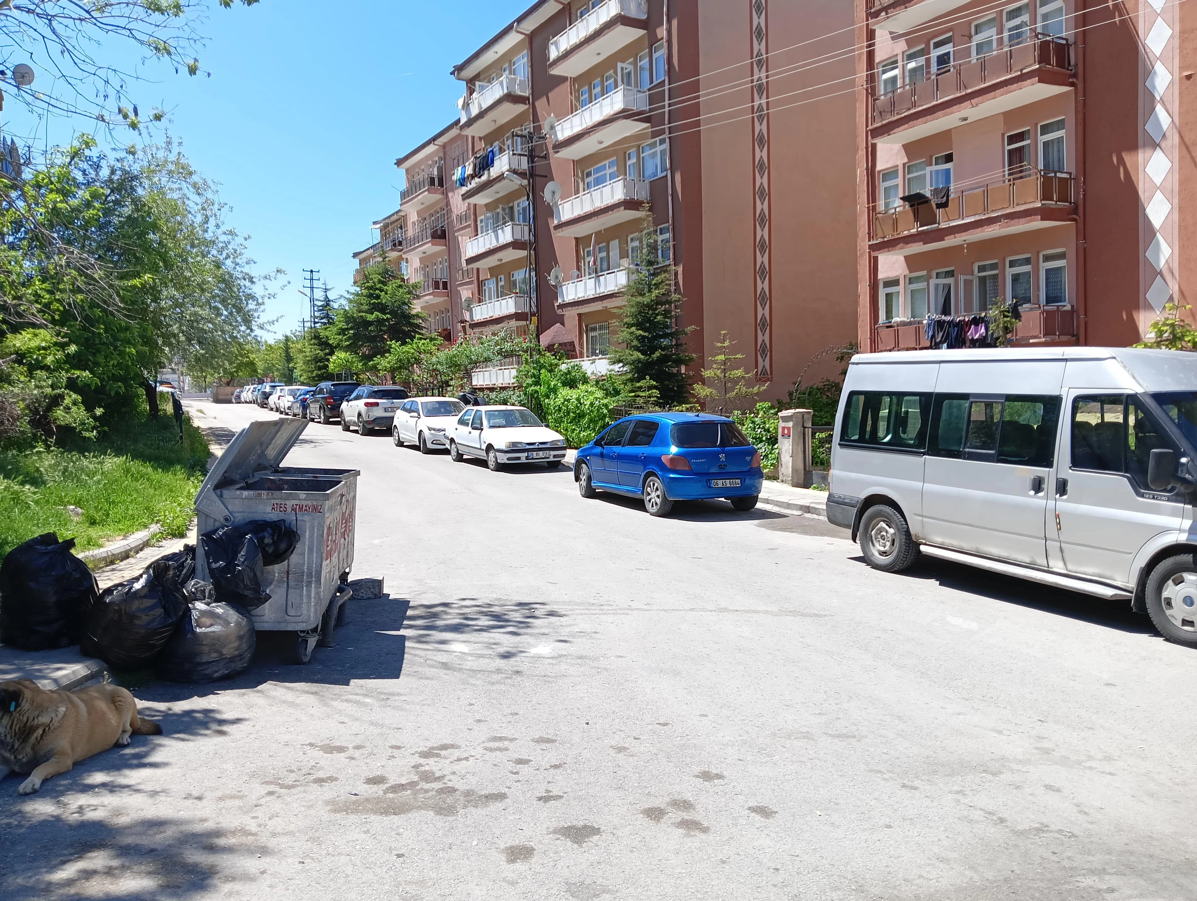 Ankara'da kardeş cinayeti! 15 yaşındaki çocuk ablasını katletti!