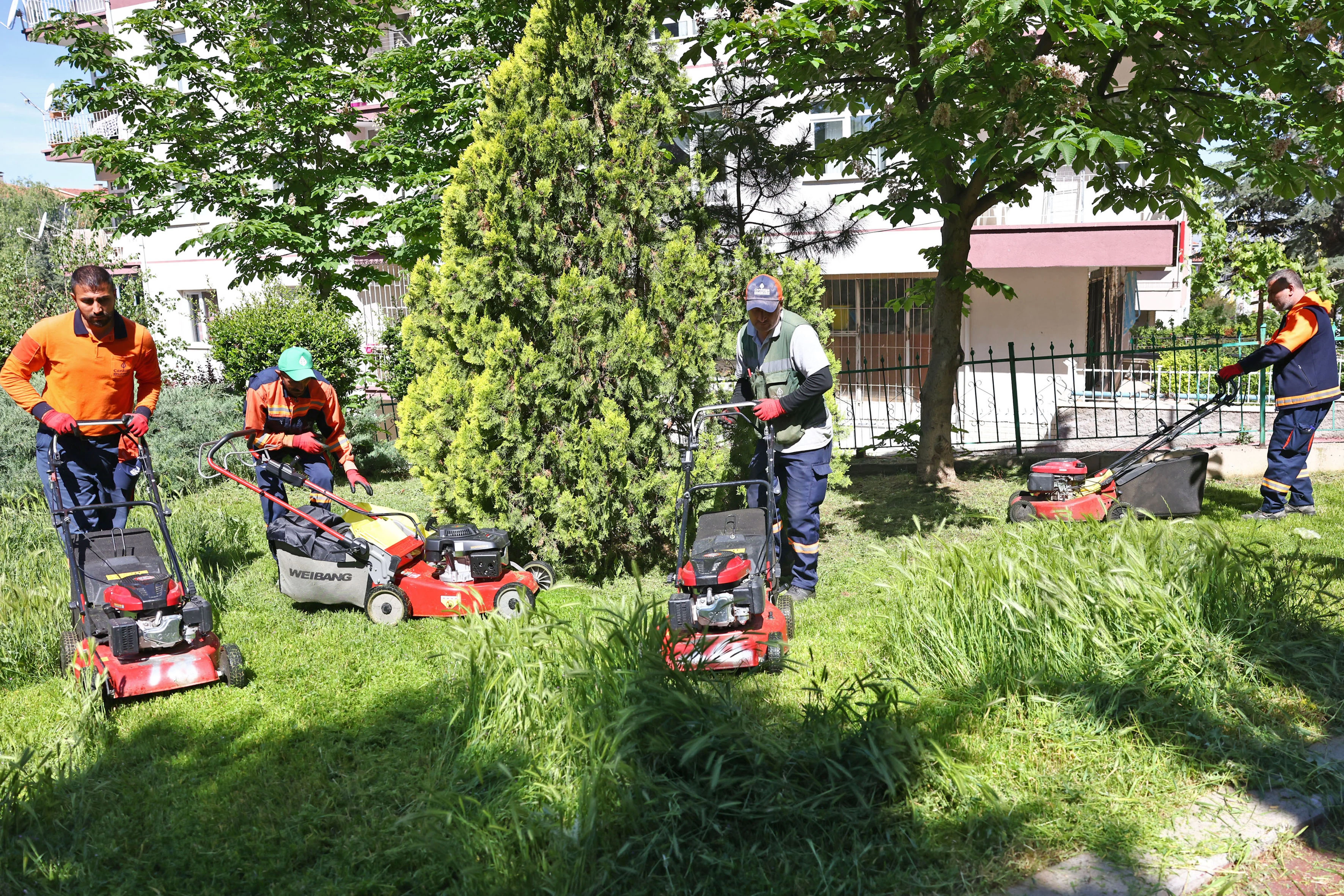 Çankaya Belediyesi ilçedeki parklarda kapsamlı bir temizlik çalışması başlattı