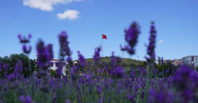 Ankaralılar birini biliyorsa üçünü bilmiyor! Her köşesi fotoğraf karesi gitmeyen bin pişman