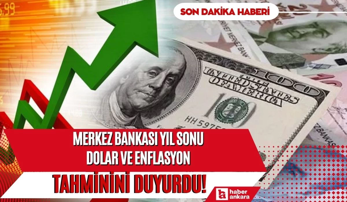 Son dakika! Merkez Bankası yıl sonu dolar ve enflasyon tahminini duyurdu!