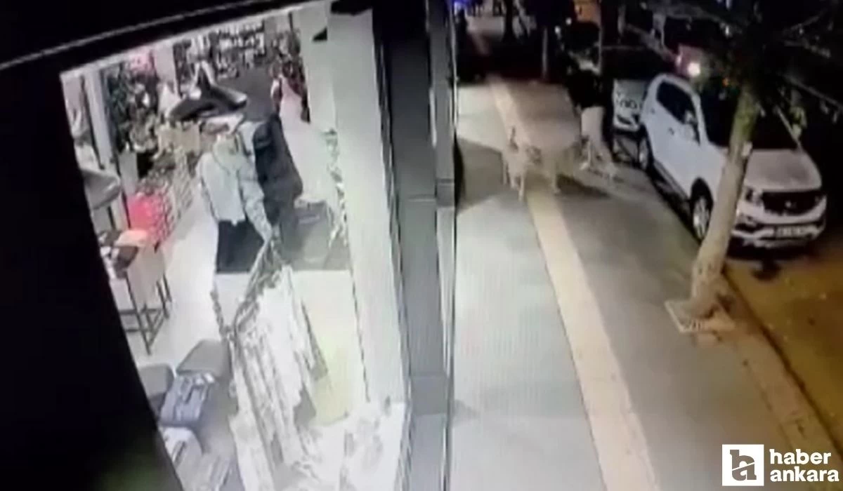 Ankara'da başıboş sokak köpeği saldırısı! Genci bacağından ısırdı