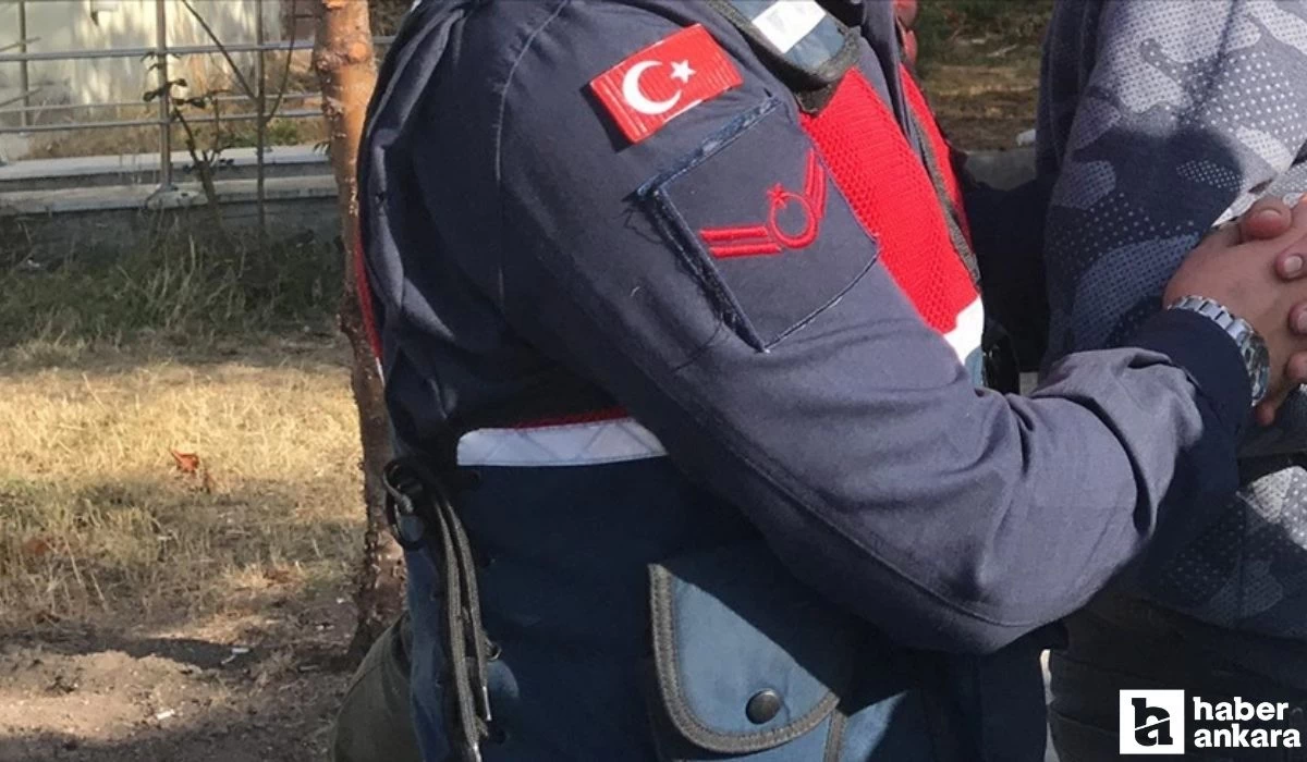 Ankara'nın Yenimahalle ve Altındağ ilçelerine Jandarma operasyonu! Tonlarca kaçak tütün ve çay ele geçirildi