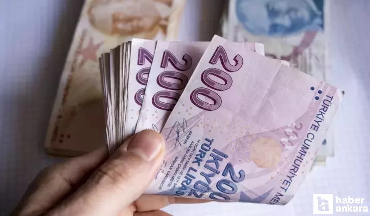 Yeni asgari ücret kaç dolar yapıyor?