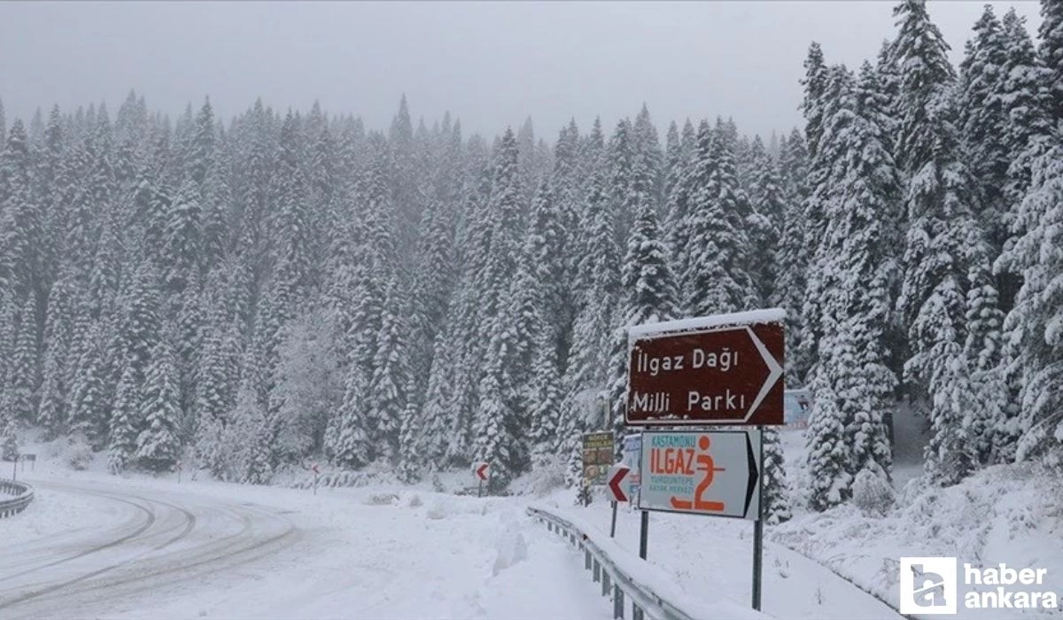 Kış ayının tadını çıkarmak isten Ankaralıların yeni gözdesi olacak! Ilgaz Dağı Milli Parkı açılışı bekleniyor