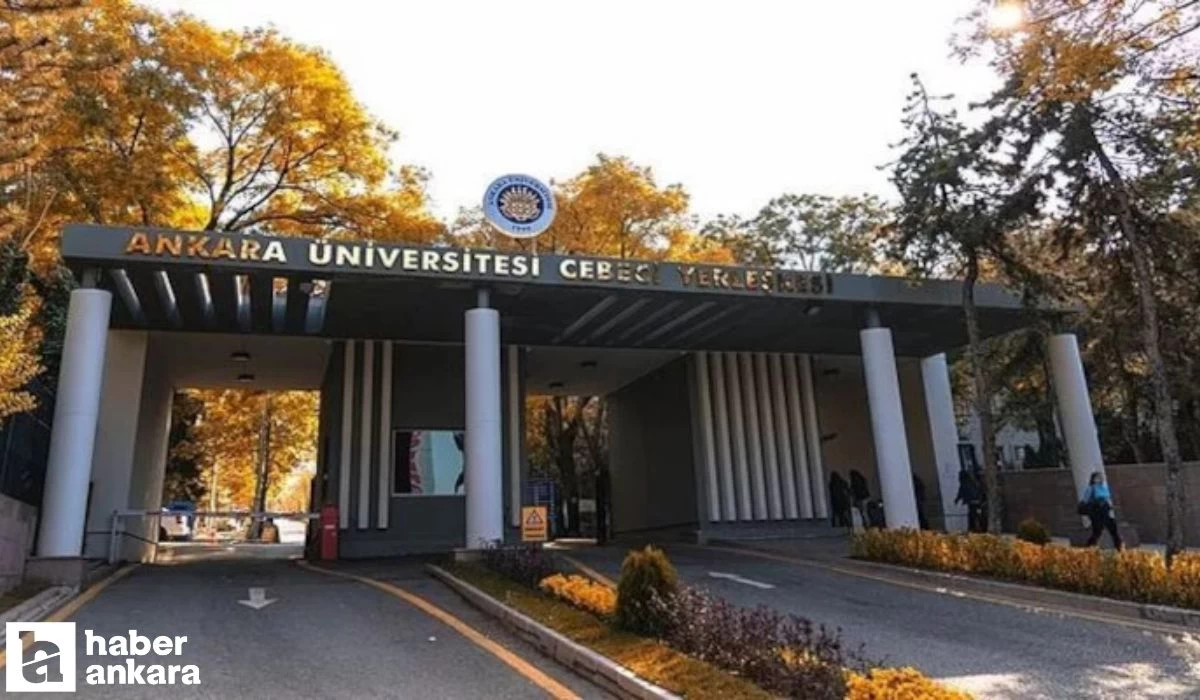 Ankara Üniversitesi 164 sözleşmeli personel alımı yapacak!