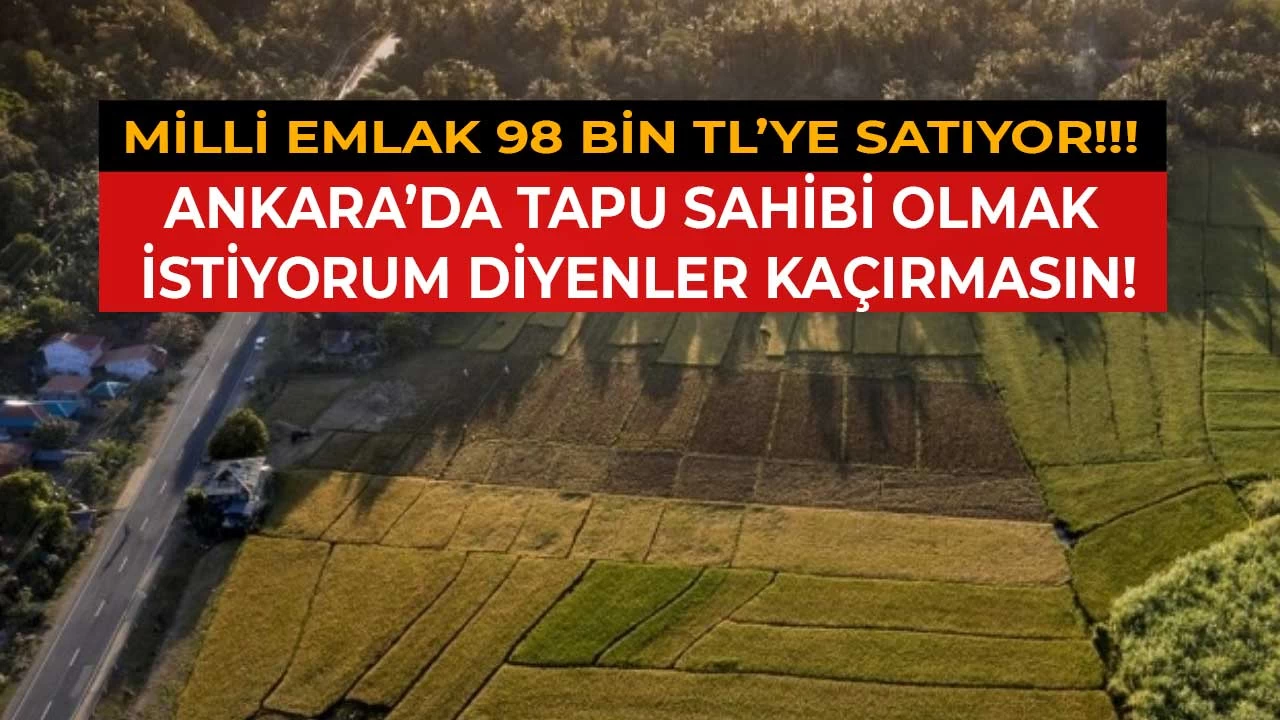 Milli Emlak Ankara'da bedavadan bir tık pahalıya arsa satıyor! 98 bin liraya tapu sahibi olmak isteyen kaçırmasın