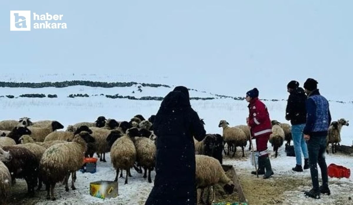 Tarım ve Orman Bakanı Yumaklı duyurdu! Denetimler aralıksız sürüyor