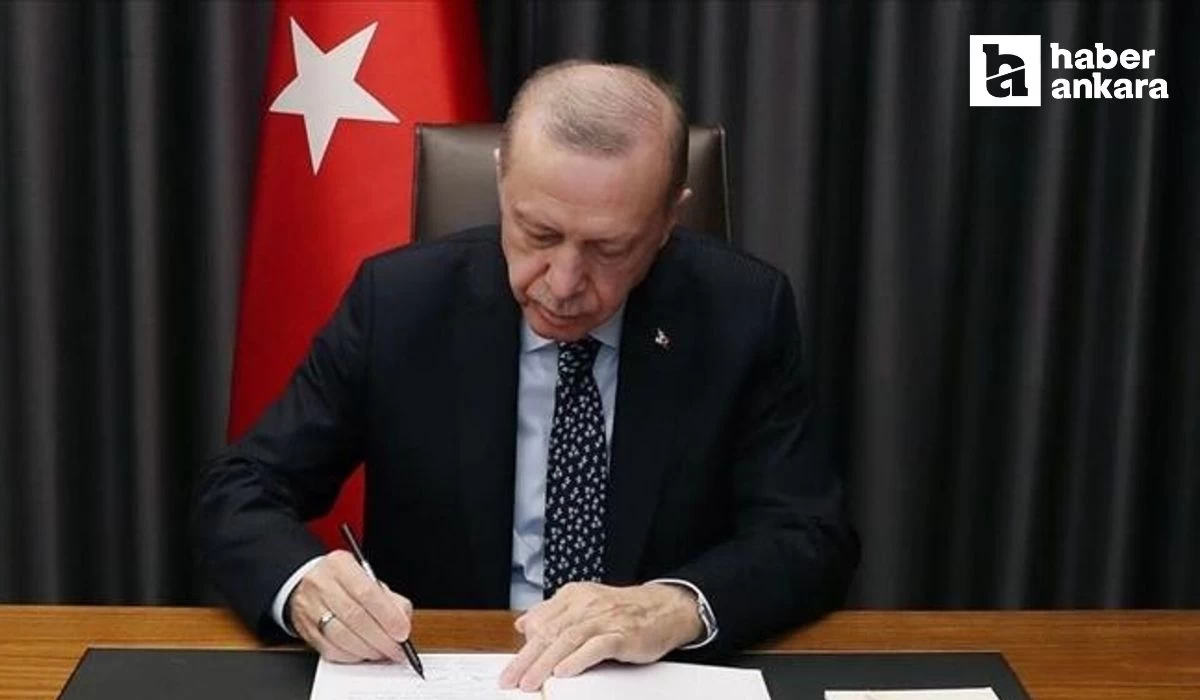 Cumhurbaşkanı Erdoğan imzaladı! Ayçiçeği tohumu ve ham ayçiçek yağında gümrük vergisi oranlarında indirim