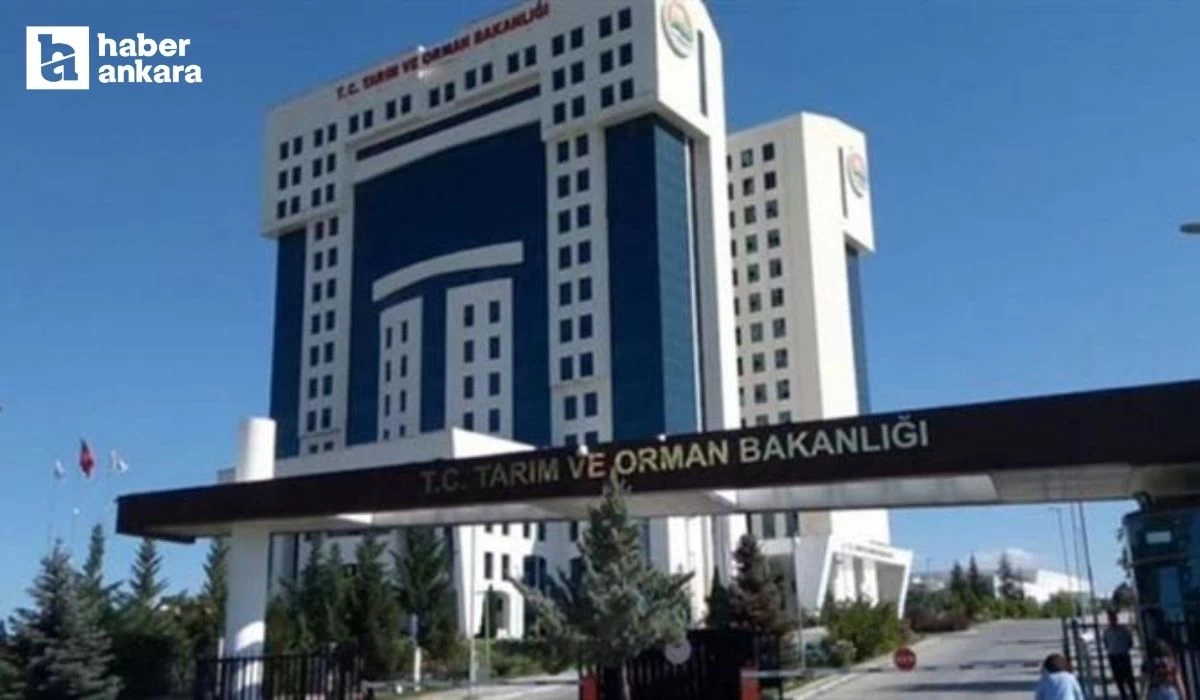 Başvuru için son gün! Tarım Bakanlığı uzman yardımcısı alımı yapacak