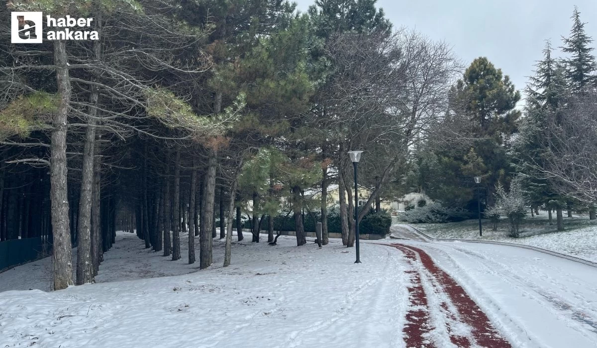 Ankara'da parklar beyaza büründü!