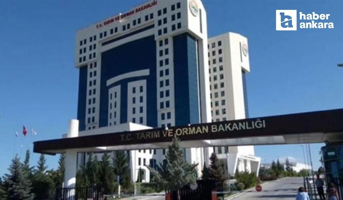 Tarım ve Orman Bakanlığı 5 bin 500 sözleşmeli personel alımı yapacak!