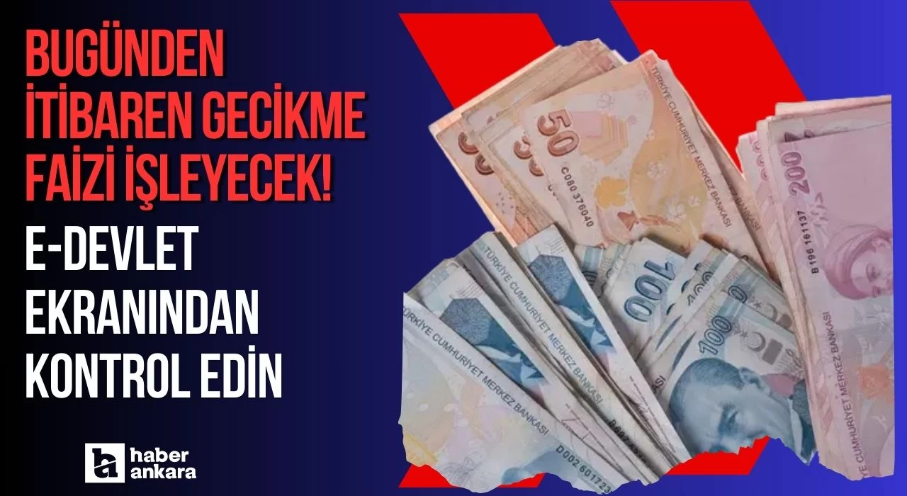 Bugünden itibaren gecikme faizi işleyecek milyonları ilgilendiriyor! E-Devlet ekranından kontrol edin