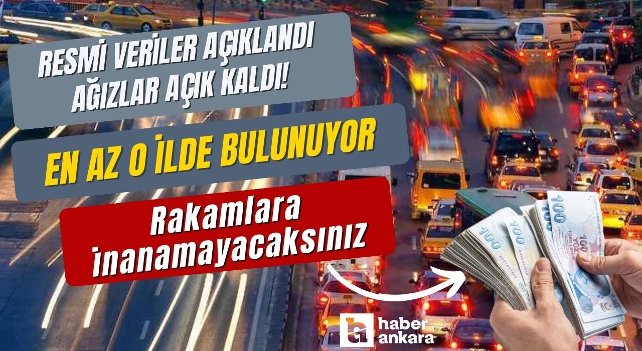 Resmi veriler açıklandı ağızlar açık kaldı! En az o ilde bulunuyor rakamlara inanamayacaksınız