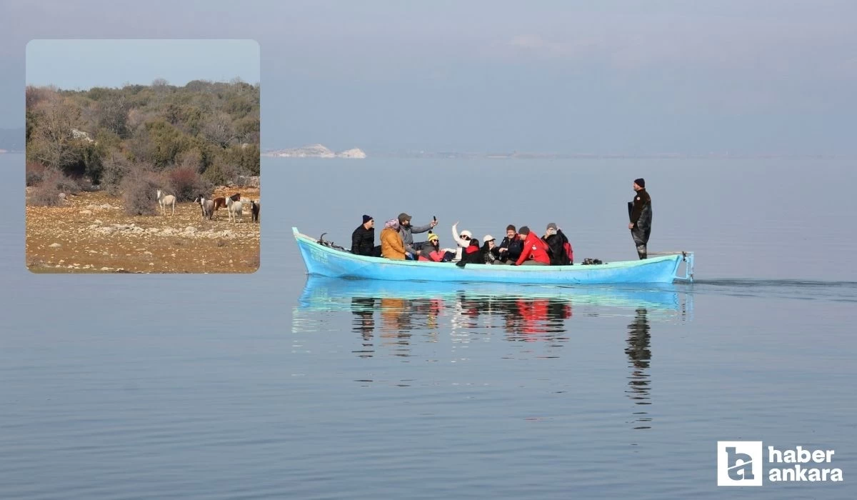 Ankaralılar burayı kesinlikle bilmiyor! Tam 267 kilometre uzaklıkta gizli cennet sizi bekliyor yaban hayatı orada