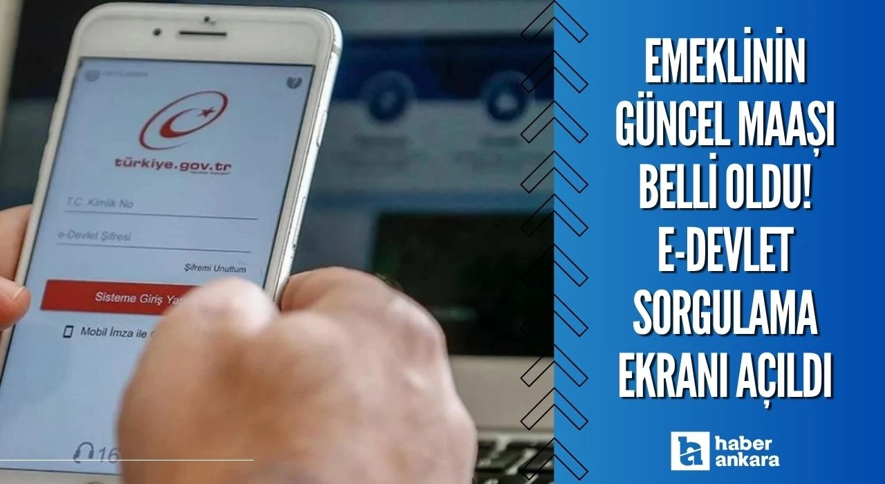 Milyonlarca emeklinin güncel maaşı belli oldu! E-Devlet sorgulama ekranı açıldı zamlı maaşlar ortaya çıktı