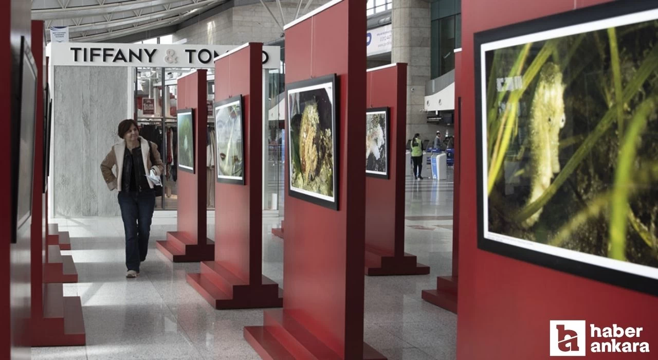 Ankara'da Hayalet Ağlar ve Marmara'ya hayat verenler fotoğraf sergisi açıldı!