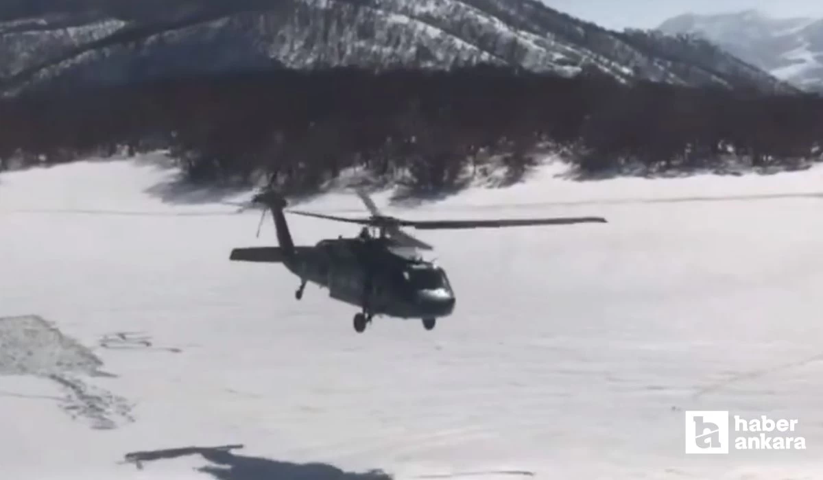 Bakanlık Açıkladı! Eylem hazırlığı yapan teröristlere Bozdoğan-3 operasyonu düzenlendi