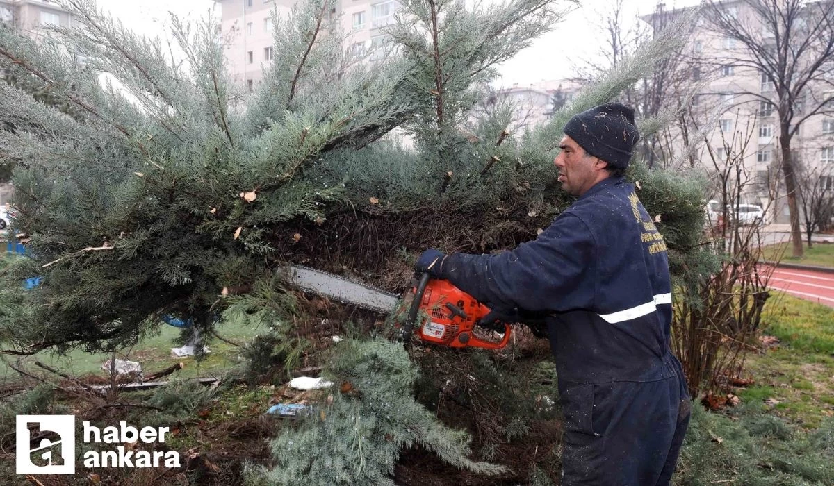 Yenimahalle Belediyesi'nden ilçede bahara hazırlık!