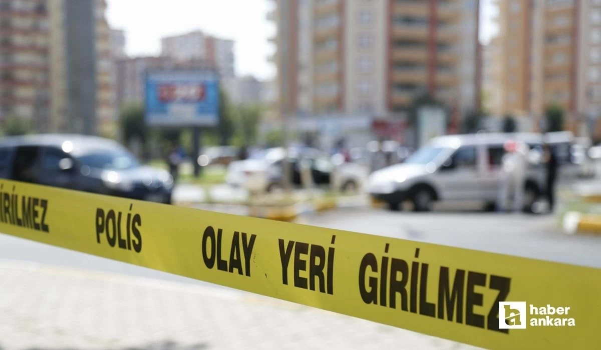 Ankara'da kedi cinayeti! Asılarak katledildi