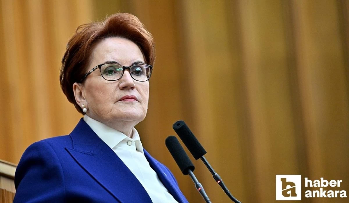 Meral Akşener, emeklilere seyyanen zam çağrısında bulundu!