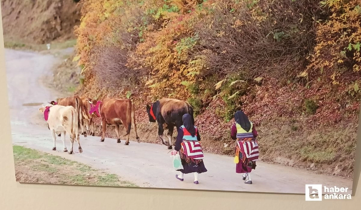 Ankara'da açılan Yağmurun Kadınları sergisi ziyaretçilerini bekliyor