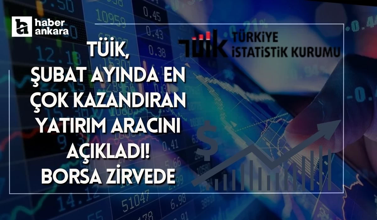 TÜİK Şubat ayında en çok kazandıran yatırım aracını açıkladı! Borsa zirvede