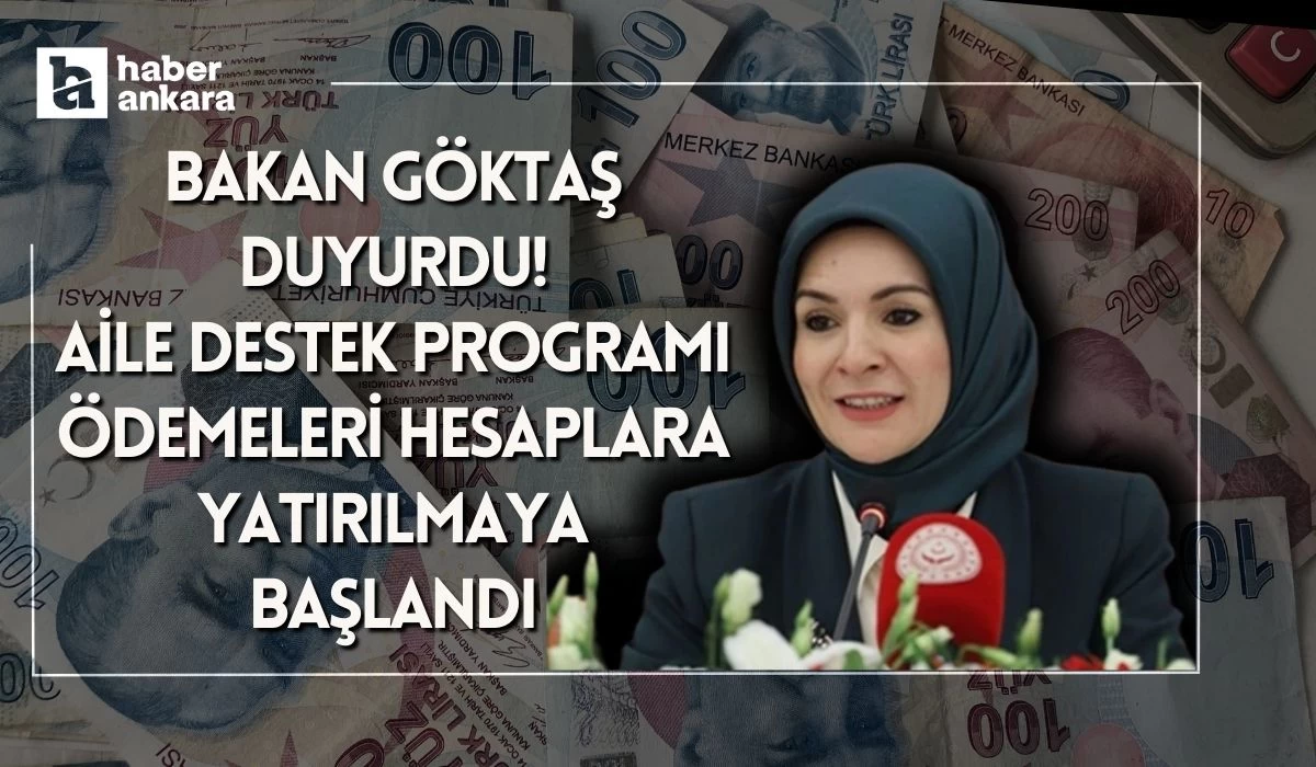 Bakan Göktaş duyurdu! Türkiye Aile Destek Programı ödemeleri hesaplara yatırılmaya başlandı