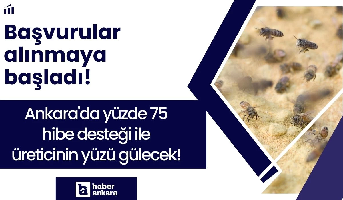 Başvurular alınmaya başladı! Ankara'da yüzde 75 hibe desteği ile üreticinin yüzü gülecek!