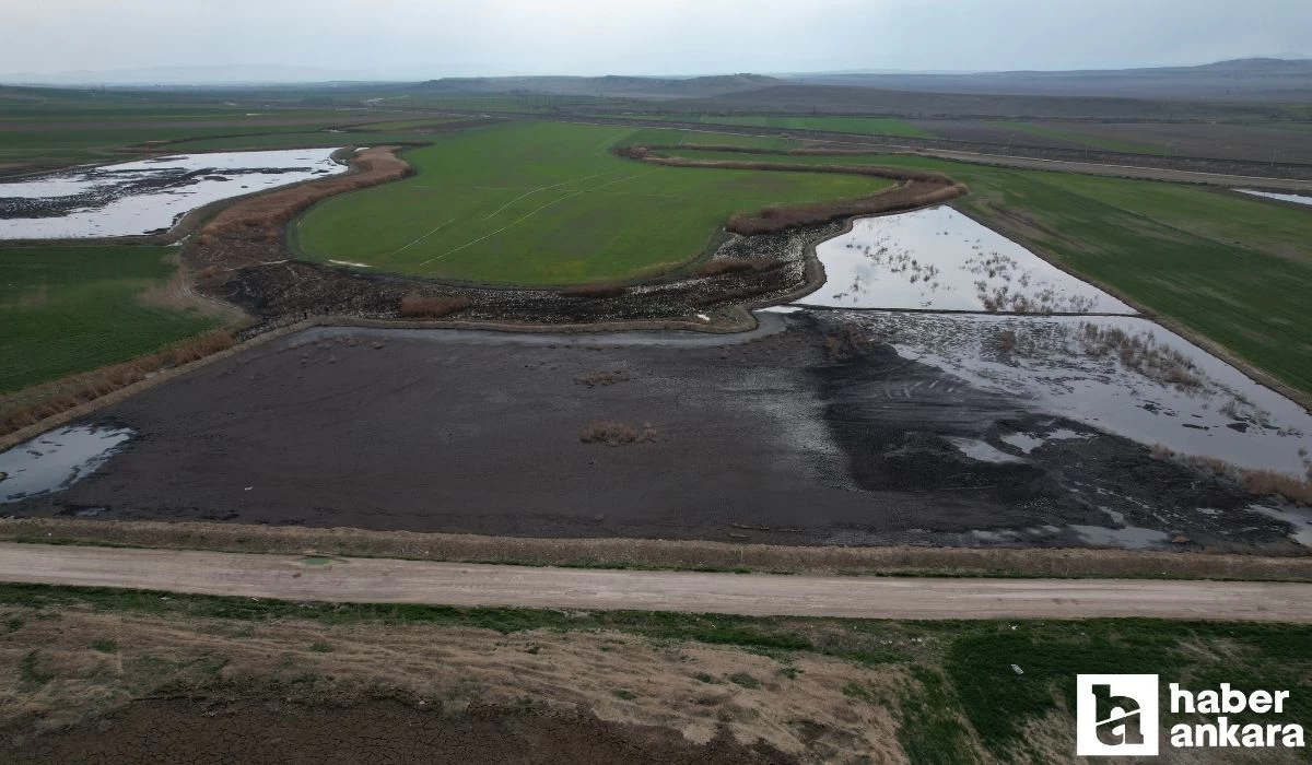 İddia! Polatlı'da biyogaz enerji üreten firmalar, atıklarını tarlaya döküyor