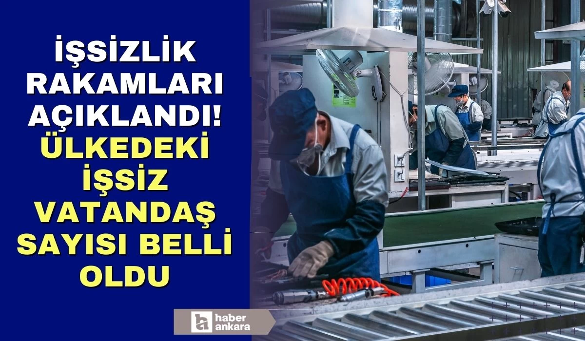 TÜİK Şubat ayı işsizlik rakamlarını açıkladı