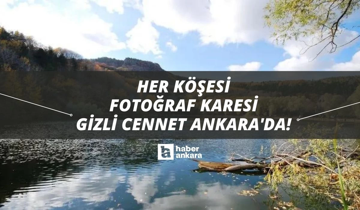 Her köşesinde fotoğraf karesi gizli o cennet Ankara'da! Kimse bilmiyor giden adeta doğaya şahitlik ediyor