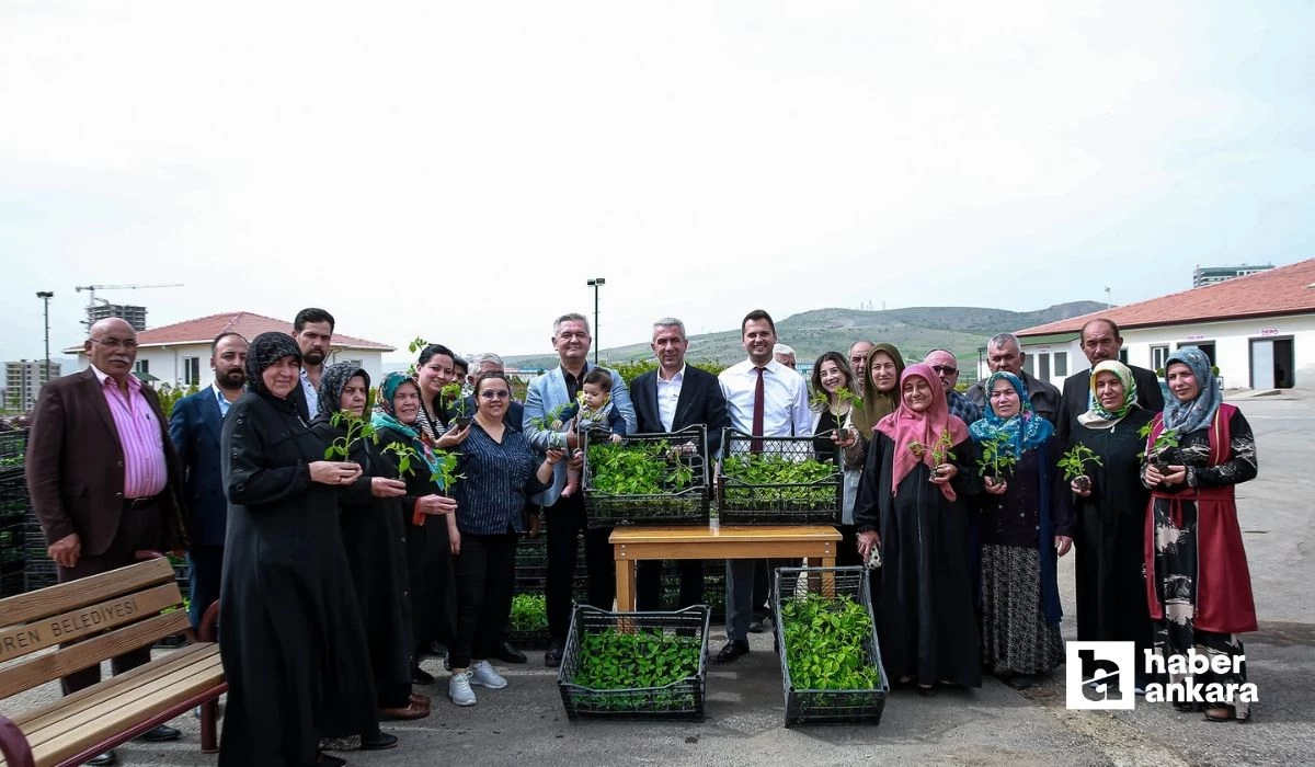 Keçiören Belediyesi çiftçilere ücretsiz fide desteği yaptı