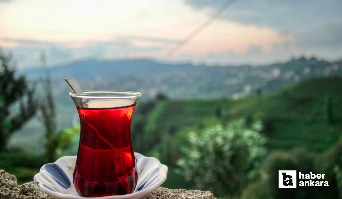 Ankara'da Rize Günleri başlıyor! Birbirinden özel etkinlikler başkentliler ile buluşacak