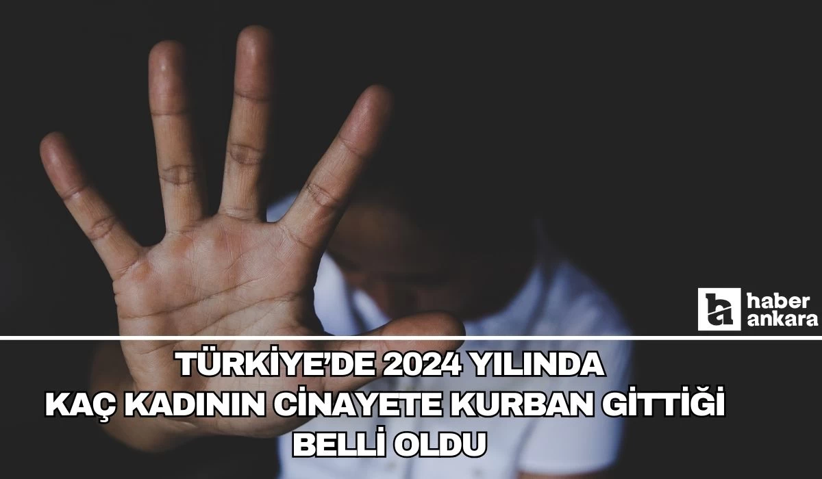 Türkiye'de 2024 yılında kaç kadın cinayetinin işlendiği belli oldu