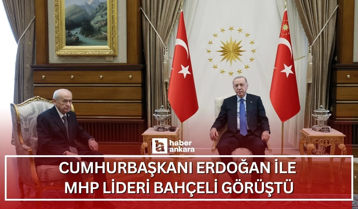 Cumhurbaşkanı Erdoğan ile MHP Lideri Bahçeli görüştü