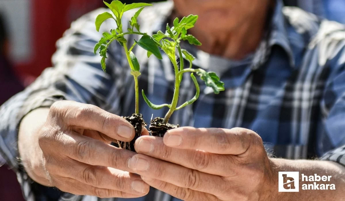 Ankaralı çiftçilere destek sürüyor! Yüzde 75 hibe desteği için tarih verildi