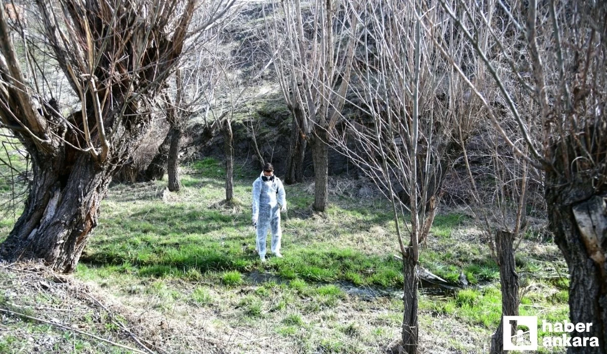 Mamak Belediyesi haşere ile mücadele dönemine başladı